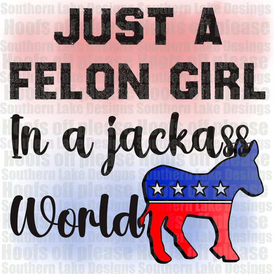 Just A Felon Girl