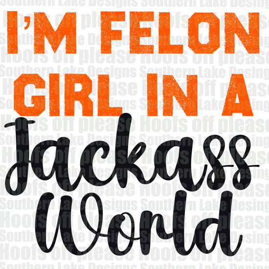 I'm Felon Girl In A Jack... World